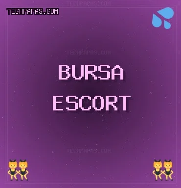 Bursa Escort: Gemlik Escort, Kestel Escort, Harmancık Escort